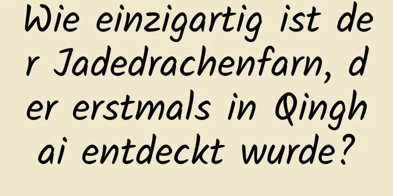 Wie einzigartig ist der Jadedrachenfarn, der erstmals in Qinghai entdeckt wurde?