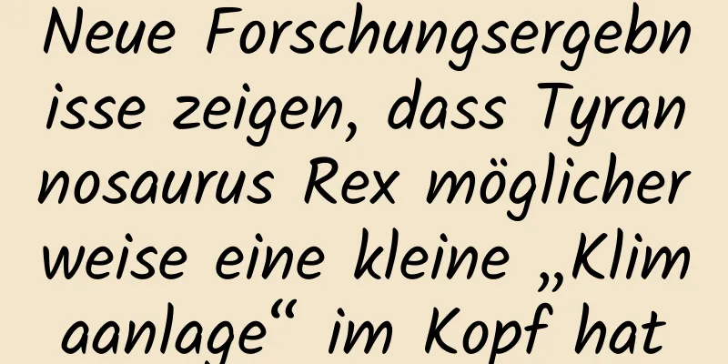 Neue Forschungsergebnisse zeigen, dass Tyrannosaurus Rex möglicherweise eine kleine „Klimaanlage“ im Kopf hat