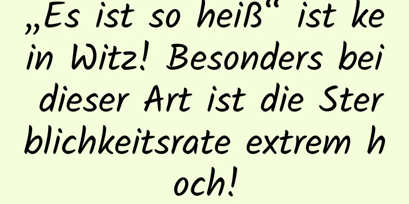 „Es ist so heiß“ ist kein Witz! Besonders bei dieser Art ist die Sterblichkeitsrate extrem hoch!