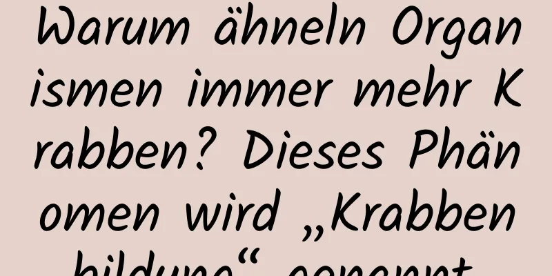 Warum ähneln Organismen immer mehr Krabben? Dieses Phänomen wird „Krabbenbildung“ genannt.