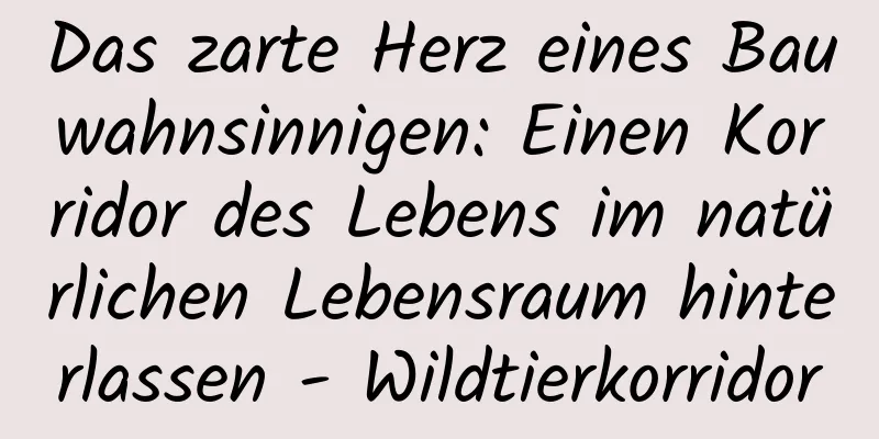 Das zarte Herz eines Bauwahnsinnigen: Einen Korridor des Lebens im natürlichen Lebensraum hinterlassen - Wildtierkorridor
