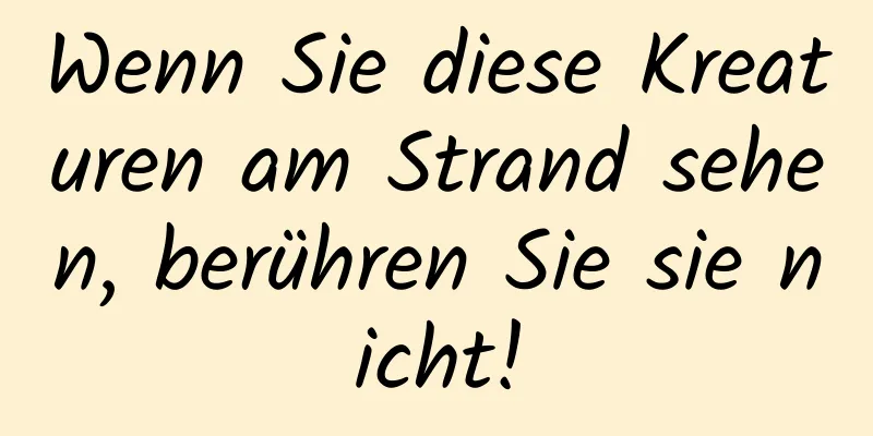 Wenn Sie diese Kreaturen am Strand sehen, berühren Sie sie nicht!