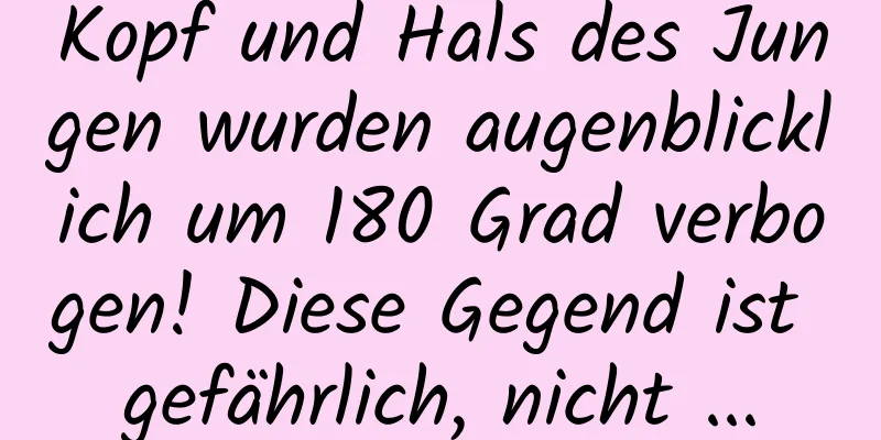Kopf und Hals des Jungen wurden augenblicklich um 180 Grad verbogen! Diese Gegend ist gefährlich, nicht ...