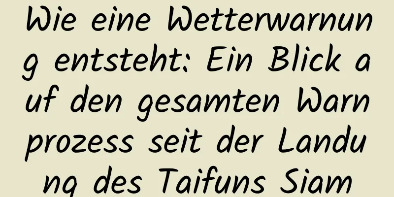Wie eine Wetterwarnung entsteht: Ein Blick auf den gesamten Warnprozess seit der Landung des Taifuns Siam