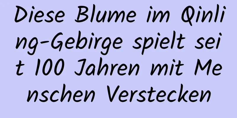Diese Blume im Qinling-Gebirge spielt seit 100 Jahren mit Menschen Verstecken