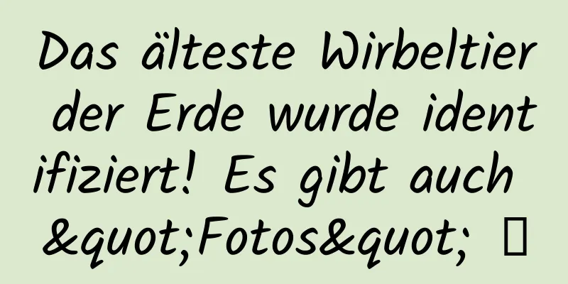 Das älteste Wirbeltier der Erde wurde identifiziert! Es gibt auch "Fotos" →