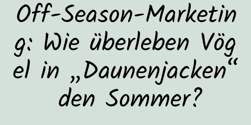 Off-Season-Marketing: Wie überleben Vögel in „Daunenjacken“ den Sommer?