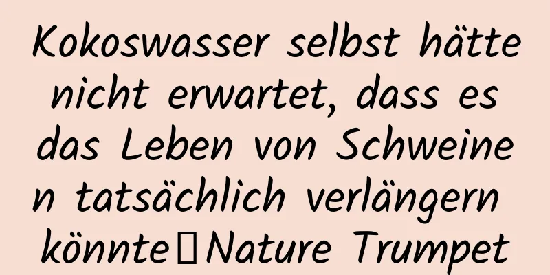 Kokoswasser selbst hätte nicht erwartet, dass es das Leben von Schweinen tatsächlich verlängern könnte丨Nature Trumpet