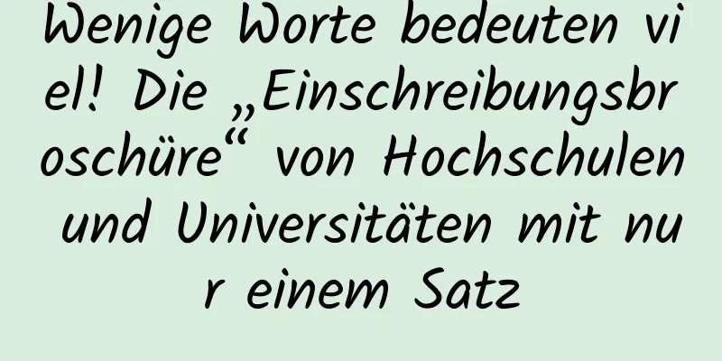 Wenige Worte bedeuten viel! Die „Einschreibungsbroschüre“ von Hochschulen und Universitäten mit nur einem Satz