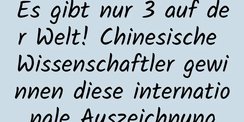 Es gibt nur 3 auf der Welt! Chinesische Wissenschaftler gewinnen diese internationale Auszeichnung