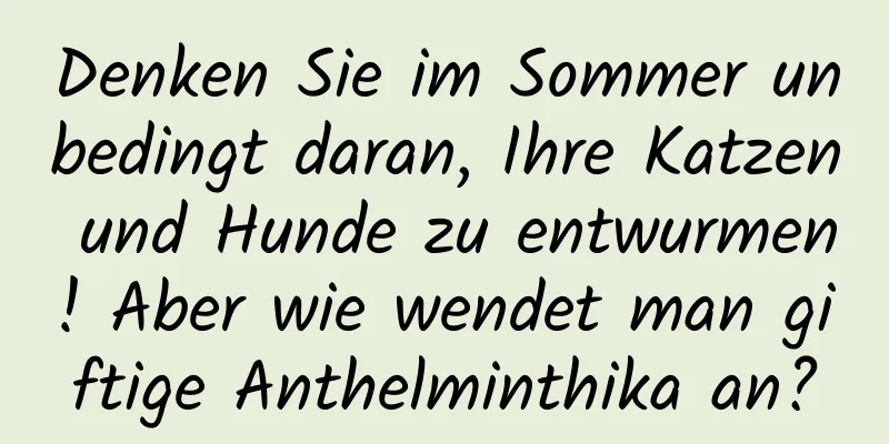Denken Sie im Sommer unbedingt daran, Ihre Katzen und Hunde zu entwurmen! Aber wie wendet man giftige Anthelminthika an?