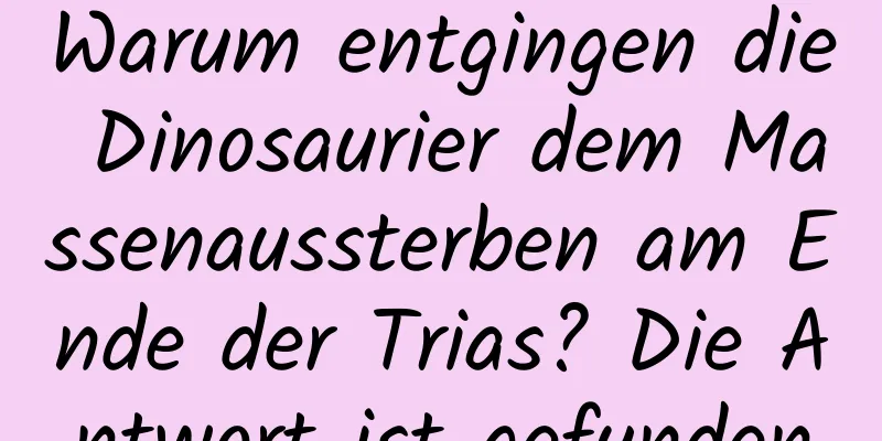 Warum entgingen die Dinosaurier dem Massenaussterben am Ende der Trias? Die Antwort ist gefunden