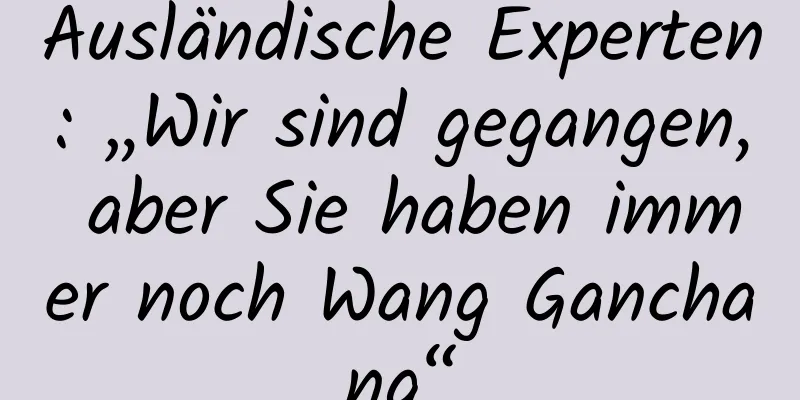 Ausländische Experten: „Wir sind gegangen, aber Sie haben immer noch Wang Ganchang“