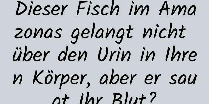 Dieser Fisch im Amazonas gelangt nicht über den Urin in Ihren Körper, aber er saugt Ihr Blut?