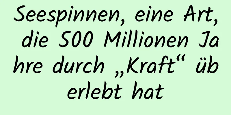 Seespinnen, eine Art, die 500 Millionen Jahre durch „Kraft“ überlebt hat