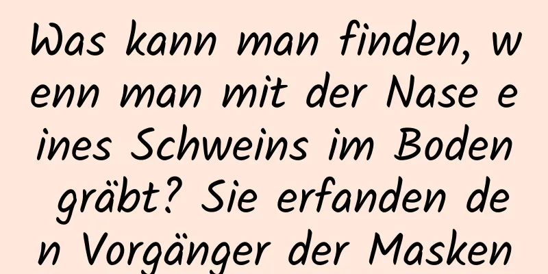 Was kann man finden, wenn man mit der Nase eines Schweins im Boden gräbt? Sie erfanden den Vorgänger der Masken