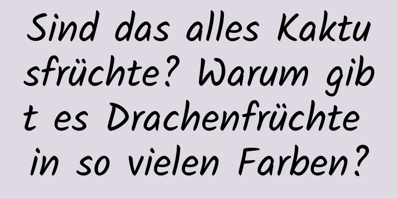 Sind das alles Kaktusfrüchte? Warum gibt es Drachenfrüchte in so vielen Farben?