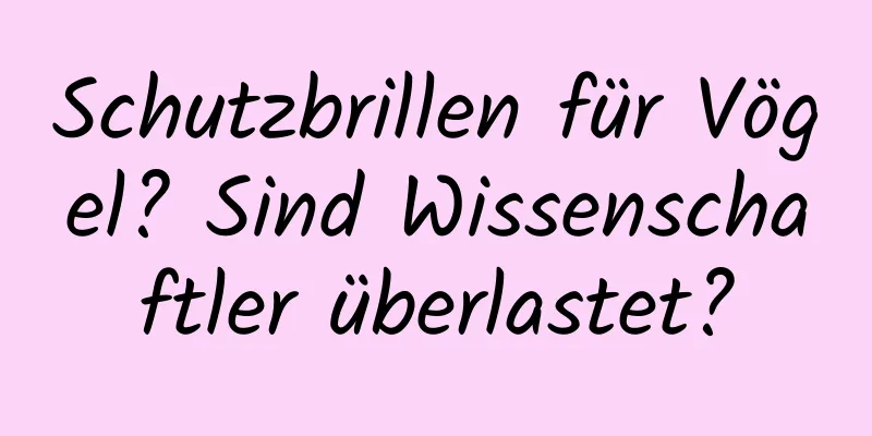 Schutzbrillen für Vögel? Sind Wissenschaftler überlastet?