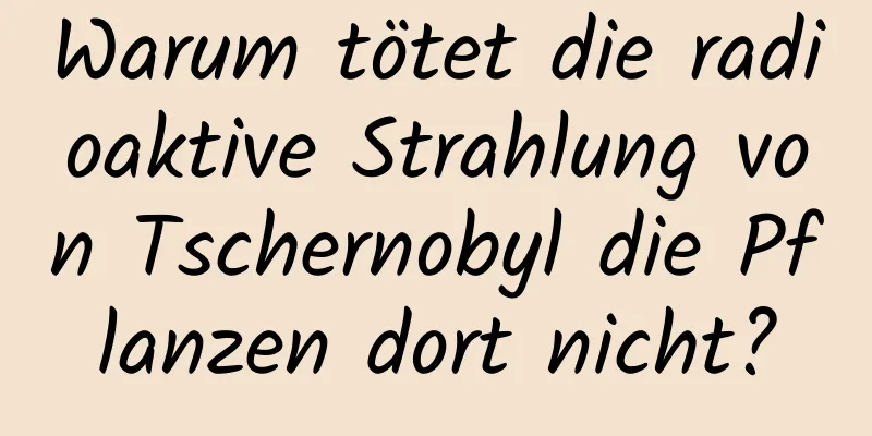 Warum tötet die radioaktive Strahlung von Tschernobyl die Pflanzen dort nicht?