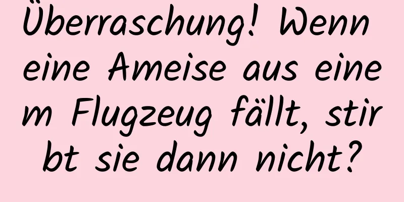 Überraschung! Wenn eine Ameise aus einem Flugzeug fällt, stirbt sie dann nicht?