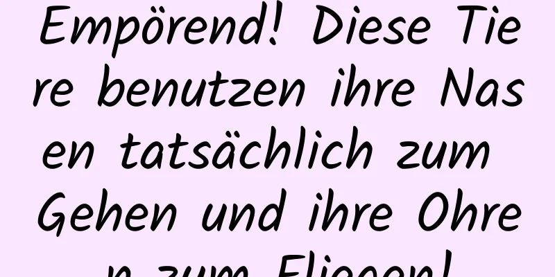 Empörend! Diese Tiere benutzen ihre Nasen tatsächlich zum Gehen und ihre Ohren zum Fliegen!