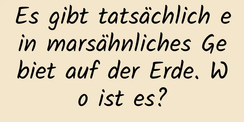Es gibt tatsächlich ein marsähnliches Gebiet auf der Erde. Wo ist es?