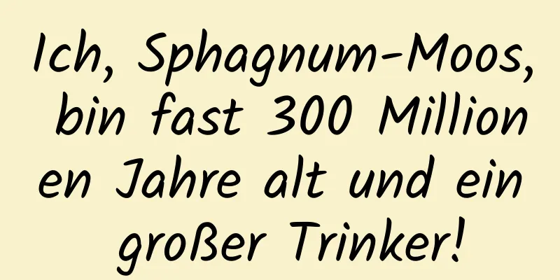Ich, Sphagnum-Moos, bin fast 300 Millionen Jahre alt und ein großer Trinker!