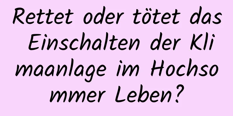 Rettet oder tötet das Einschalten der Klimaanlage im Hochsommer Leben?