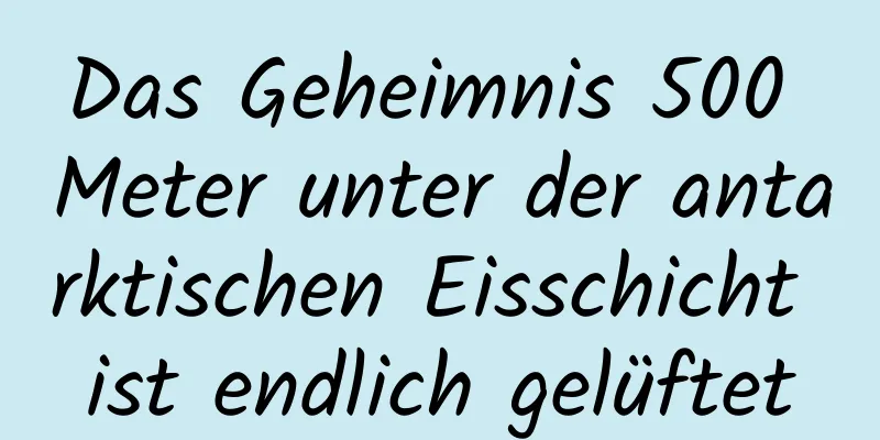 Das Geheimnis 500 Meter unter der antarktischen Eisschicht ist endlich gelüftet