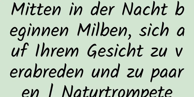Mitten in der Nacht beginnen Milben, sich auf Ihrem Gesicht zu verabreden und zu paaren | Naturtrompete