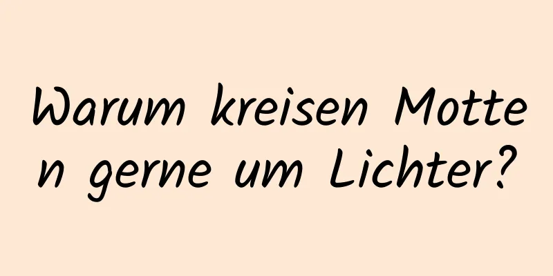 Warum kreisen Motten gerne um Lichter?