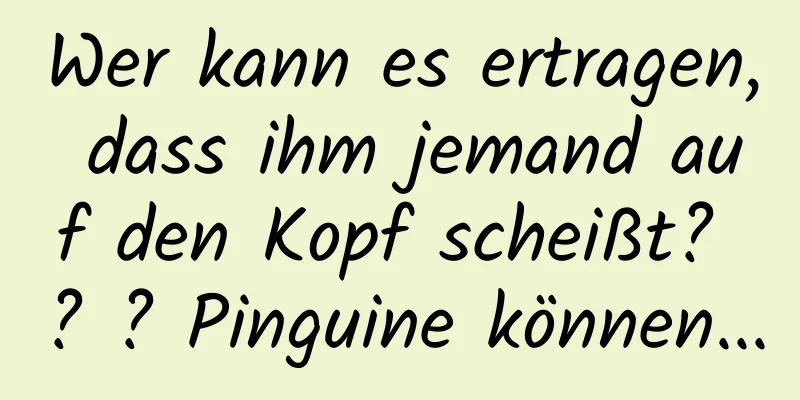 Wer kann es ertragen, dass ihm jemand auf den Kopf scheißt? ? ? Pinguine können...
