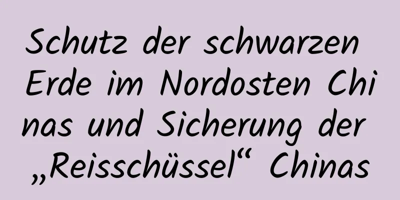 Schutz der schwarzen Erde im Nordosten Chinas und Sicherung der „Reisschüssel“ Chinas