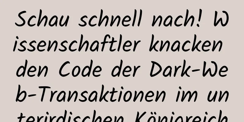 Schau schnell nach! Wissenschaftler knacken den Code der Dark-Web-Transaktionen im unterirdischen Königreich