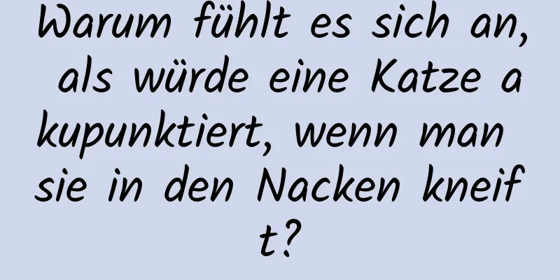 Warum fühlt es sich an, als würde eine Katze akupunktiert, wenn man sie in den Nacken kneift?