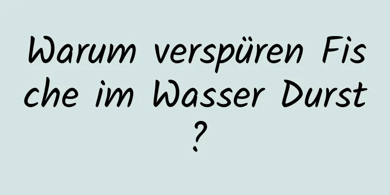 Warum verspüren Fische im Wasser Durst?