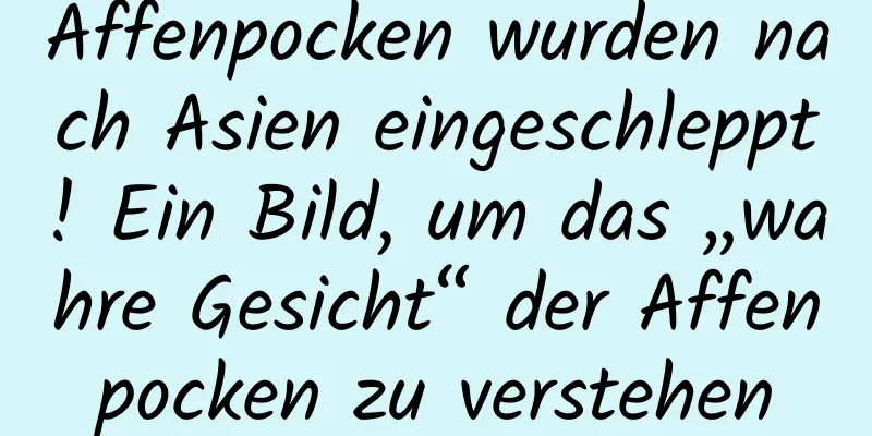 Affenpocken wurden nach Asien eingeschleppt! Ein Bild, um das „wahre Gesicht“ der Affenpocken zu verstehen