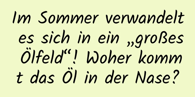 Im Sommer verwandelt es sich in ein „großes Ölfeld“! Woher kommt das Öl in der Nase?
