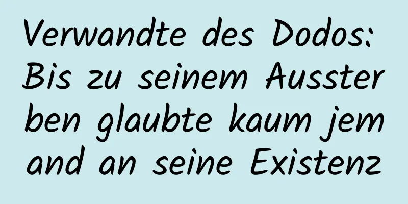 Verwandte des Dodos: Bis zu seinem Aussterben glaubte kaum jemand an seine Existenz