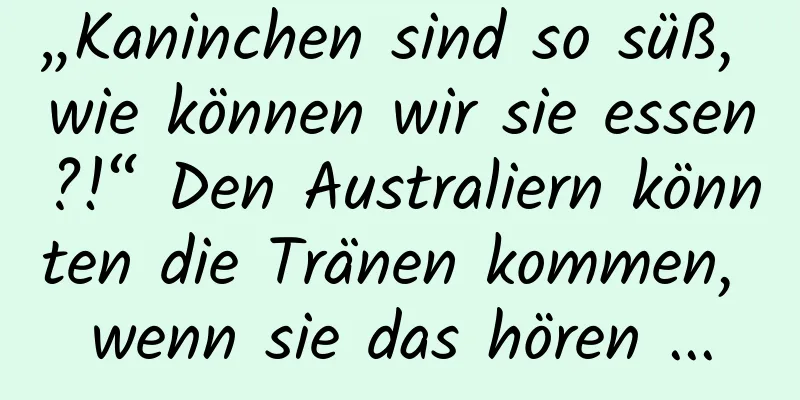 „Kaninchen sind so süß, wie können wir sie essen?!“ Den Australiern könnten die Tränen kommen, wenn sie das hören ...