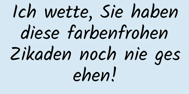 Ich wette, Sie haben diese farbenfrohen Zikaden noch nie gesehen!