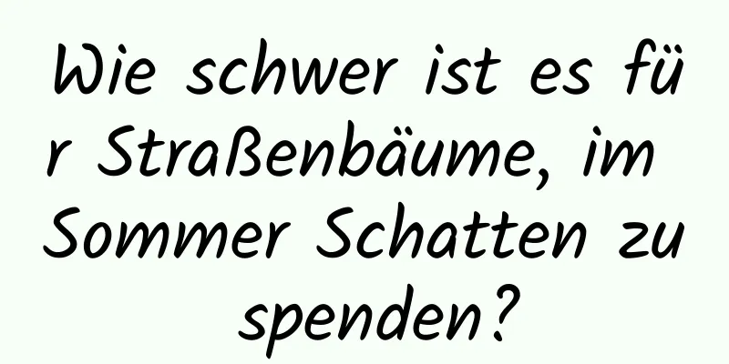 Wie schwer ist es für Straßenbäume, im Sommer Schatten zu spenden?