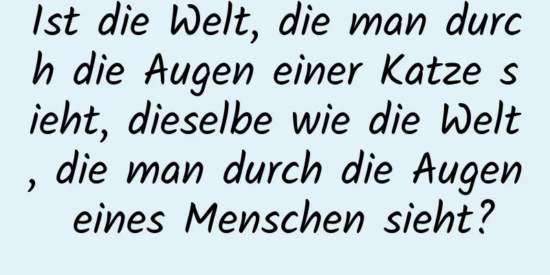 Ist die Welt, die man durch die Augen einer Katze sieht, dieselbe wie die Welt, die man durch die Augen eines Menschen sieht?