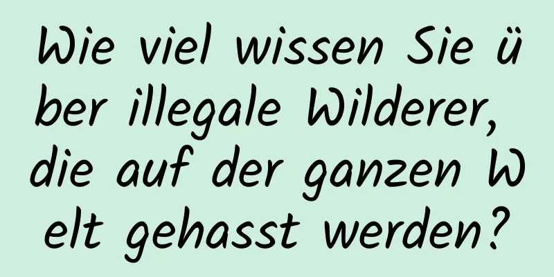 Wie viel wissen Sie über illegale Wilderer, die auf der ganzen Welt gehasst werden?