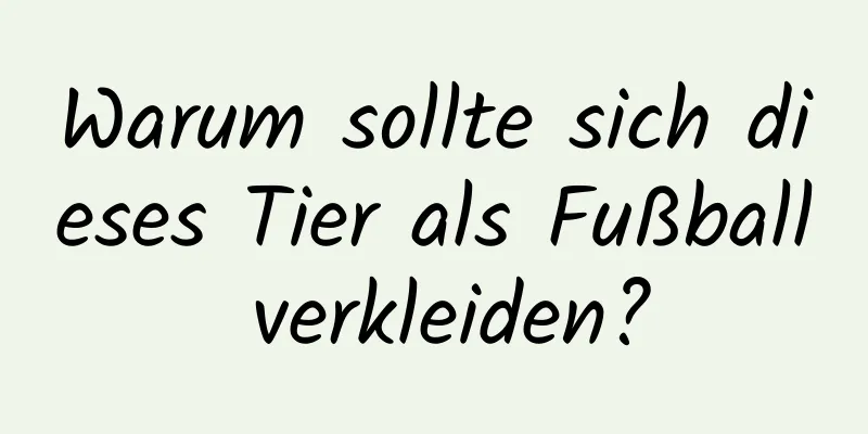 Warum sollte sich dieses Tier als Fußball verkleiden?