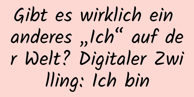 Gibt es wirklich ein anderes „Ich“ auf der Welt? Digitaler Zwilling: Ich bin