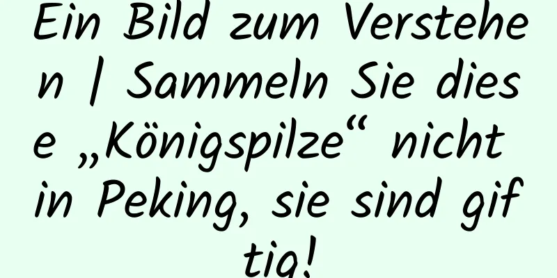 Ein Bild zum Verstehen | Sammeln Sie diese „Königspilze“ nicht in Peking, sie sind giftig!
