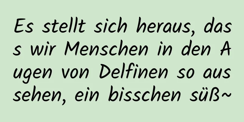 Es stellt sich heraus, dass wir Menschen in den Augen von Delfinen so aussehen, ein bisschen süß~