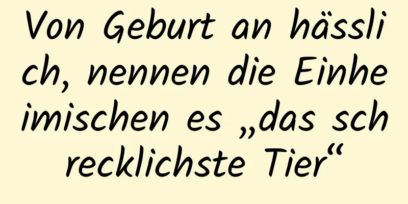 Von Geburt an hässlich, nennen die Einheimischen es „das schrecklichste Tier“