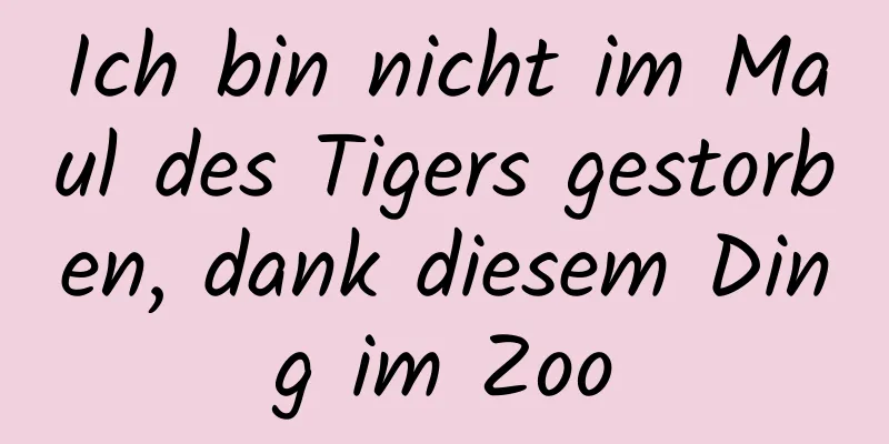 Ich bin nicht im Maul des Tigers gestorben, dank diesem Ding im Zoo